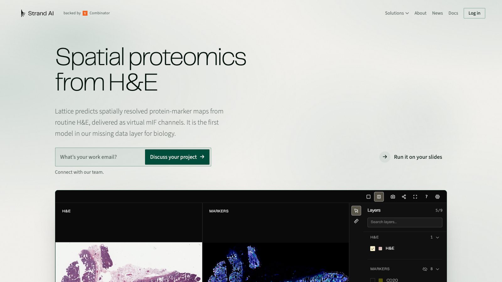 Strand AI - spatial proteomics from H&E