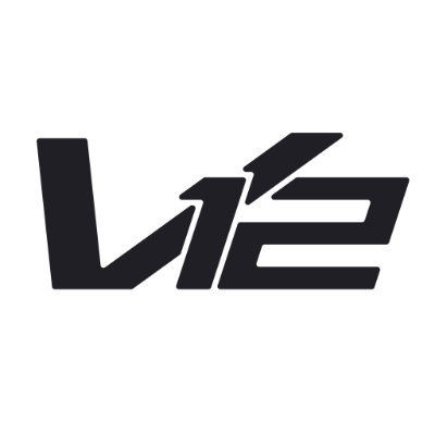 V12 (@v12sec) logo